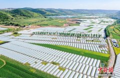 宁夏固原：联农带农绘就乡村振兴新图景